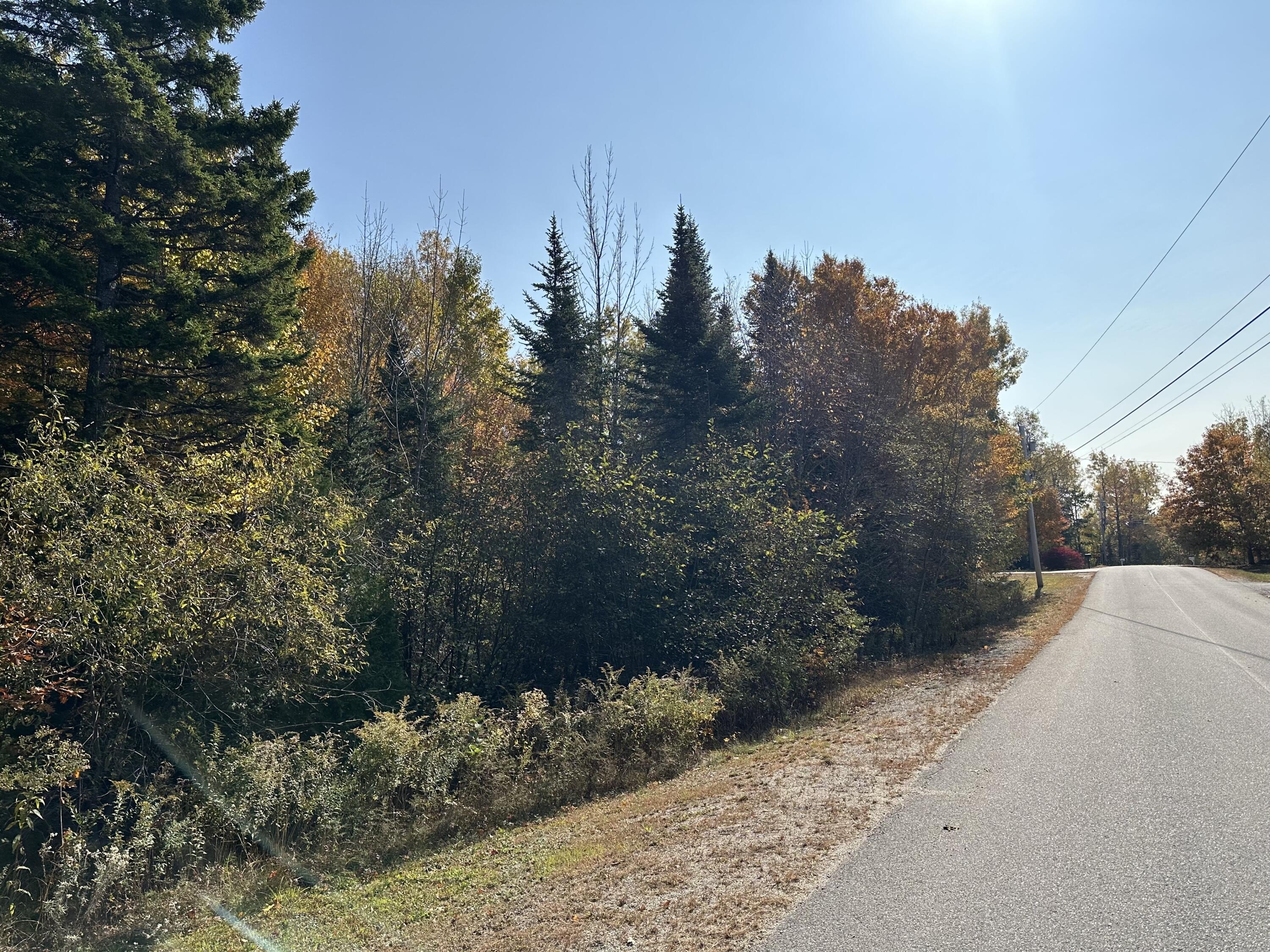 Ellsworth Land in Established Subdivision