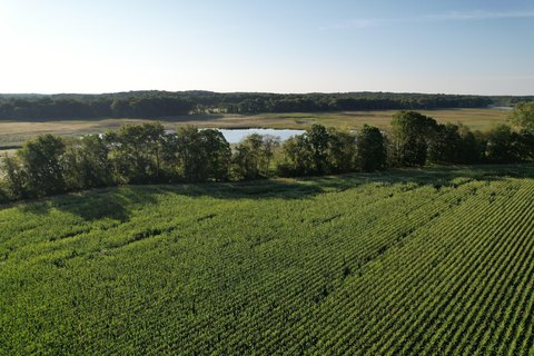Agricultural Land