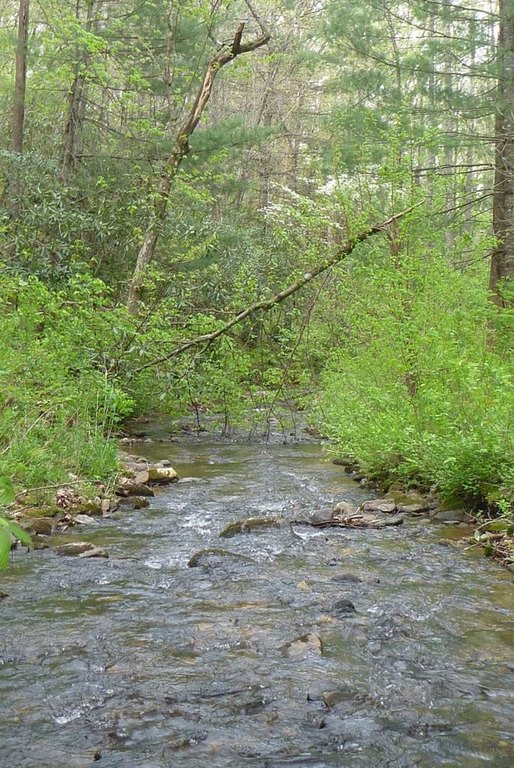 Picture 11