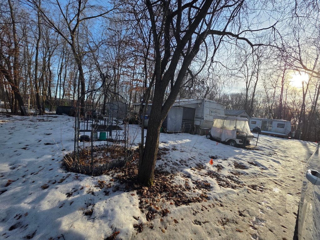 Picture 21