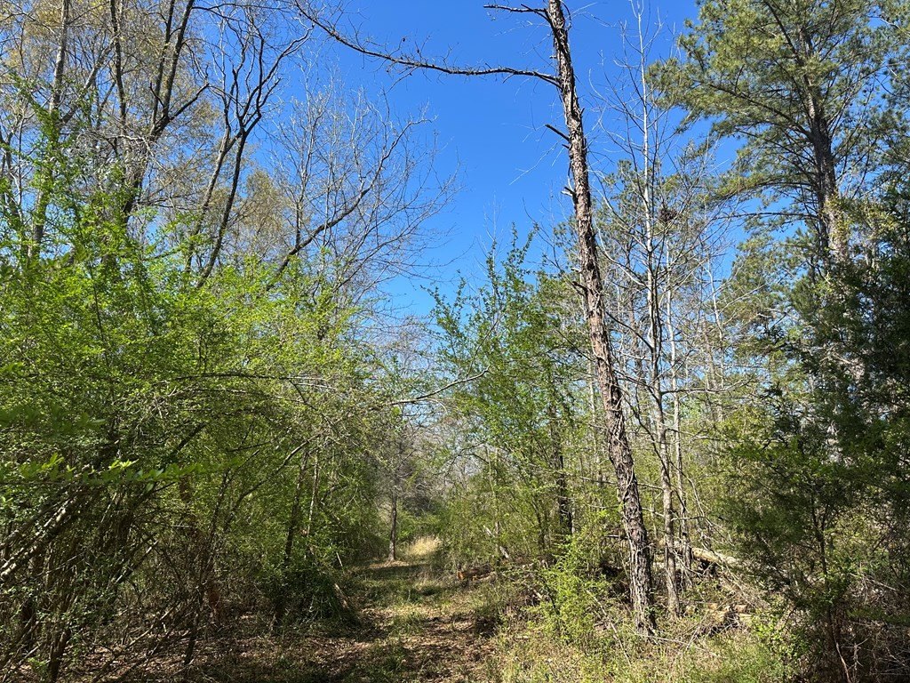 Picture 4