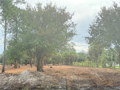 Cleared Lot in Montura Ranch