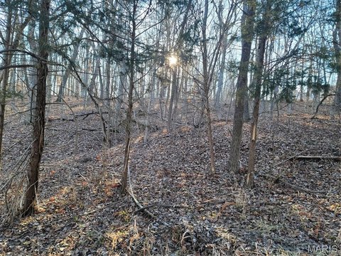 LAND - Robertsville, MO