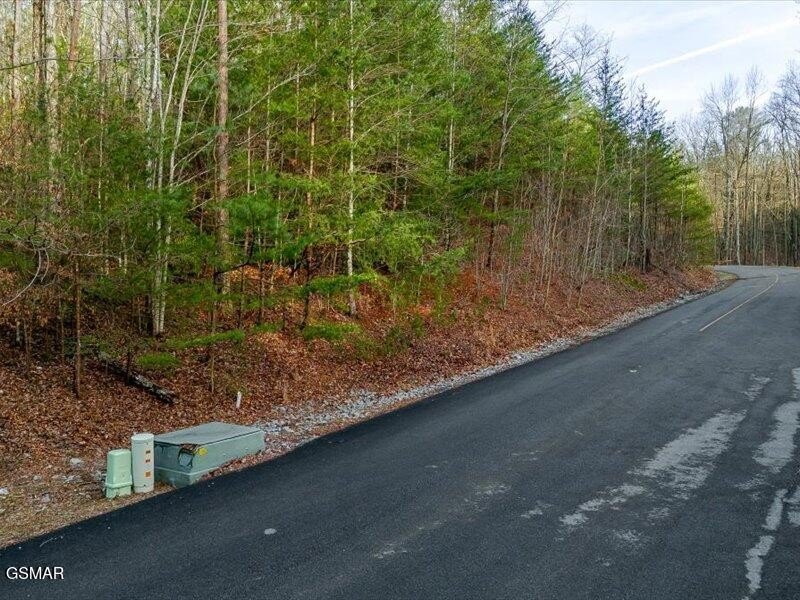 Sevierville Land in Wears Valley