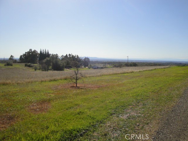 Picture 11