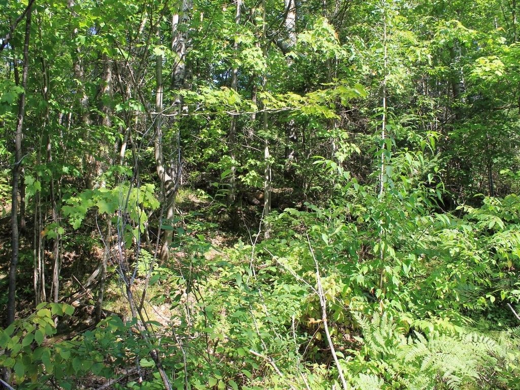 Picture 19