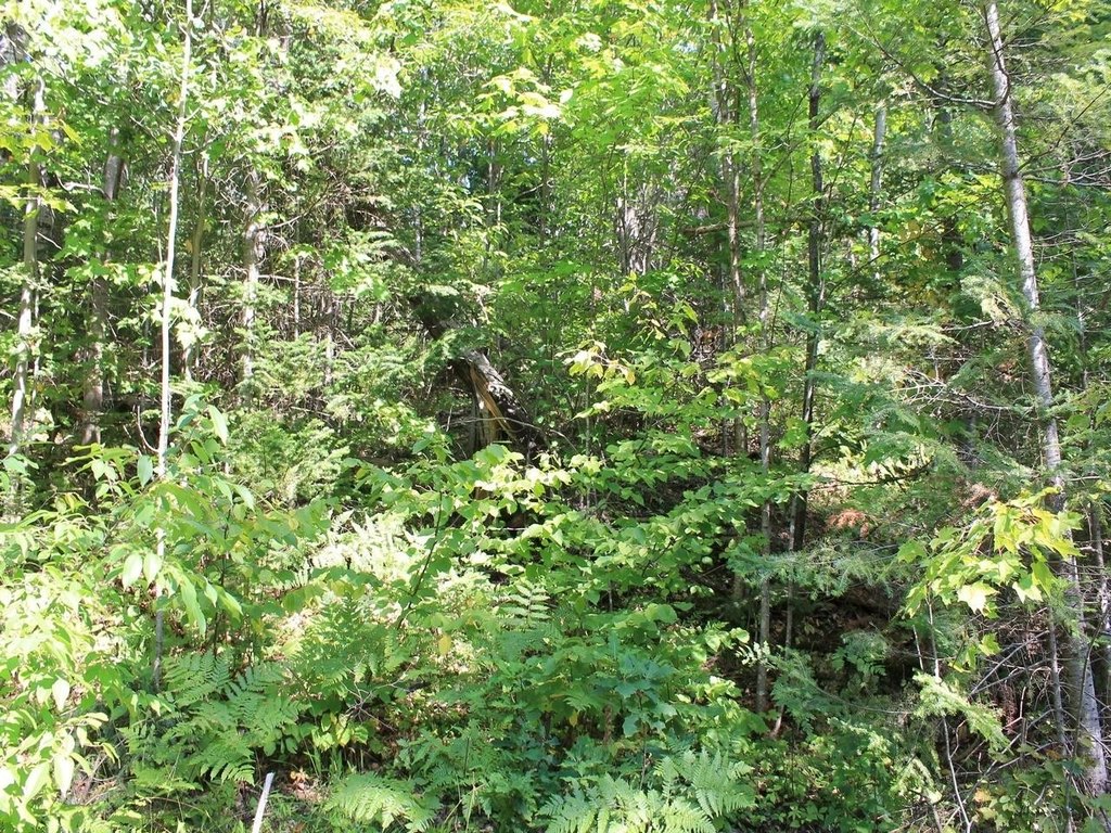 Picture 18