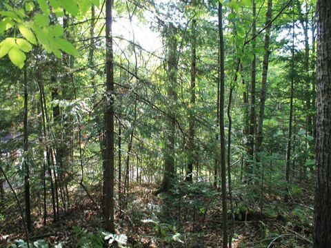 LAND - Upson, WI