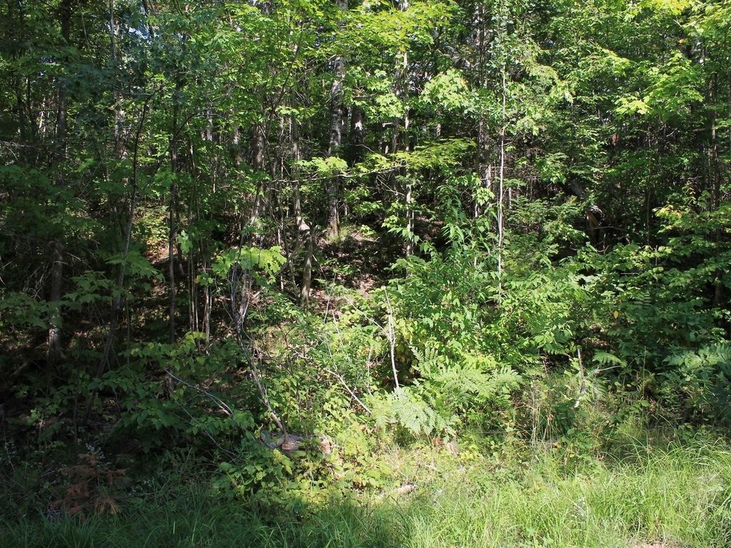 Picture 10