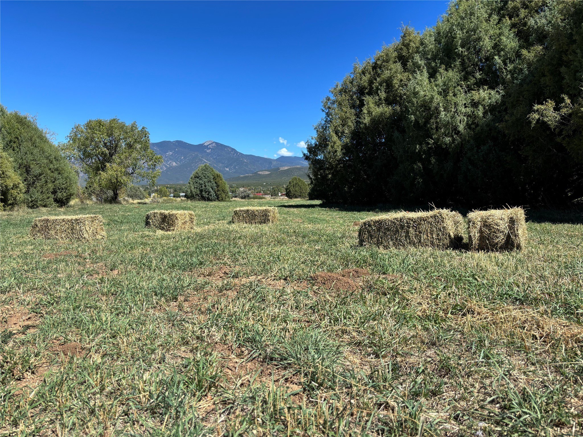 Taos Land with Mountain Views