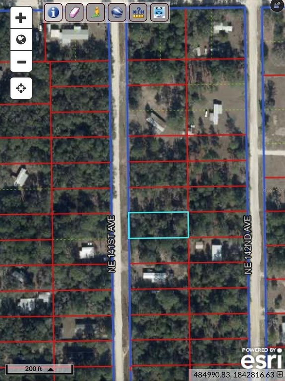 Picture 3