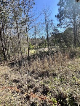 Wooded Lot Near I-20
