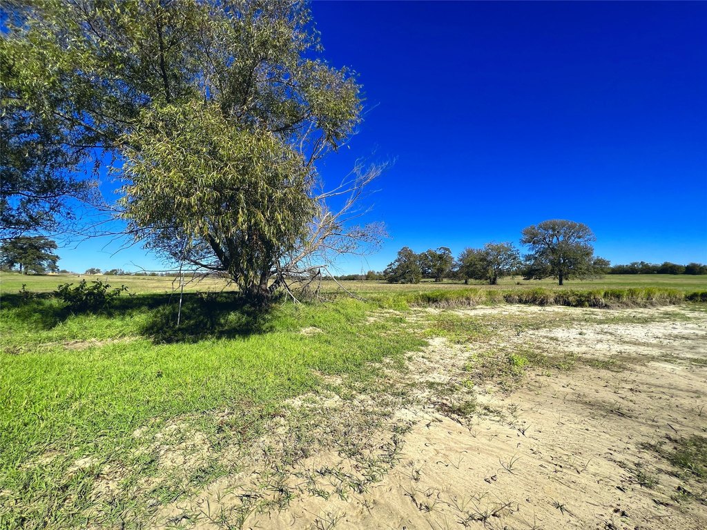 Picture 37