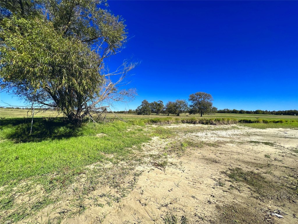 Picture 23