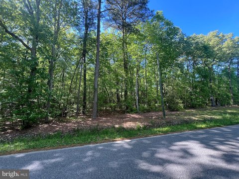 Private Wooded Lot For Sale