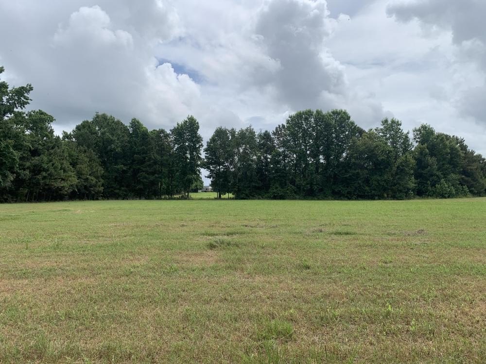 Commercial Land I-95 Exit 119