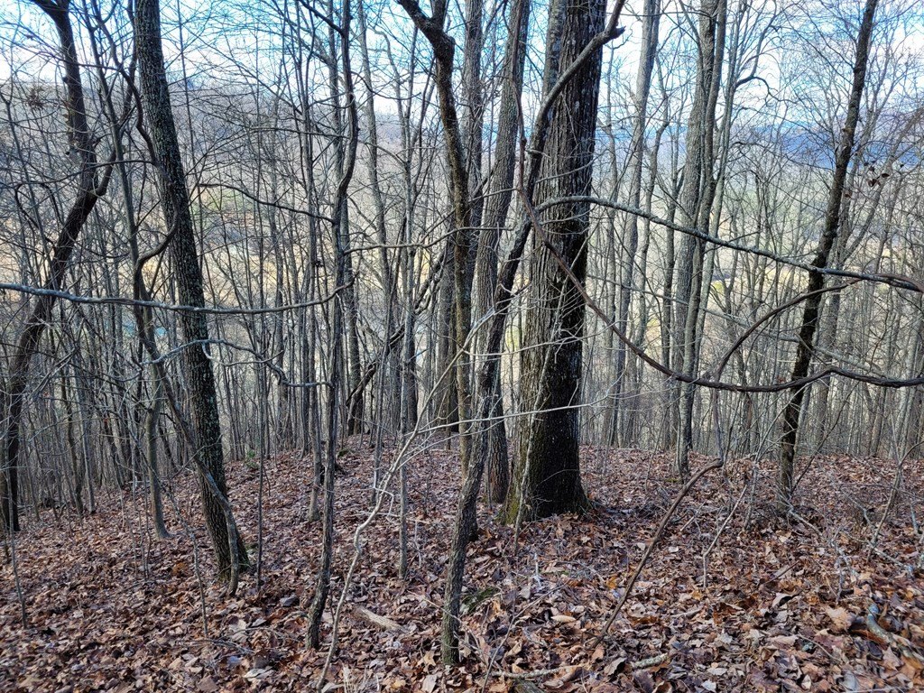 Picture 9