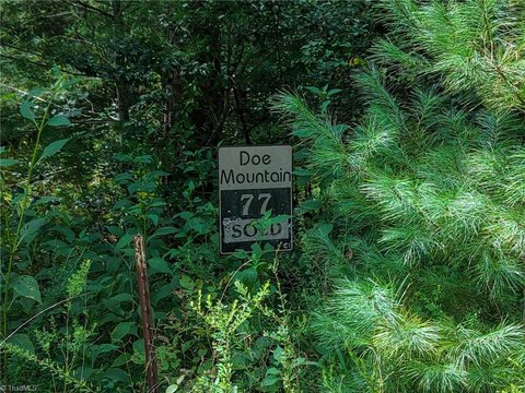 Wooded Lot in Doe Mountain