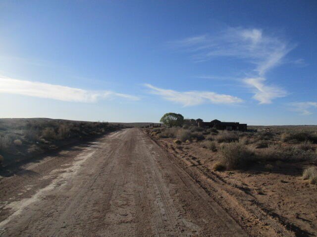 Picture 3
