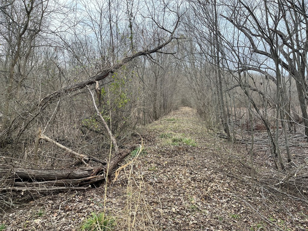 Picture 18
