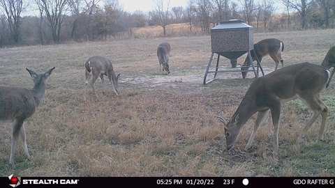 Creekside Hunting Land