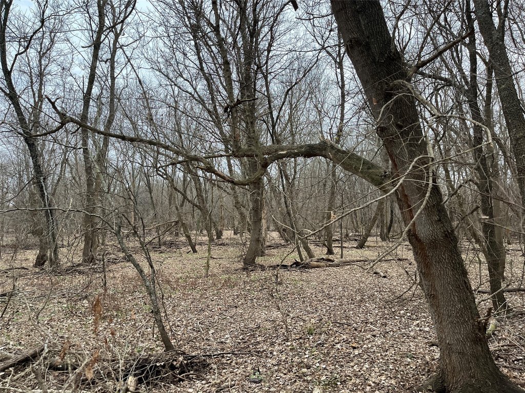 Picture 19
