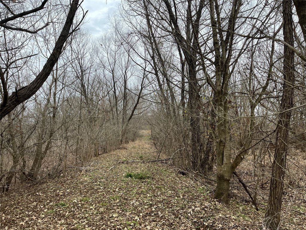 Picture 17