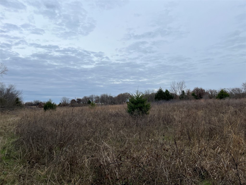 Picture 4