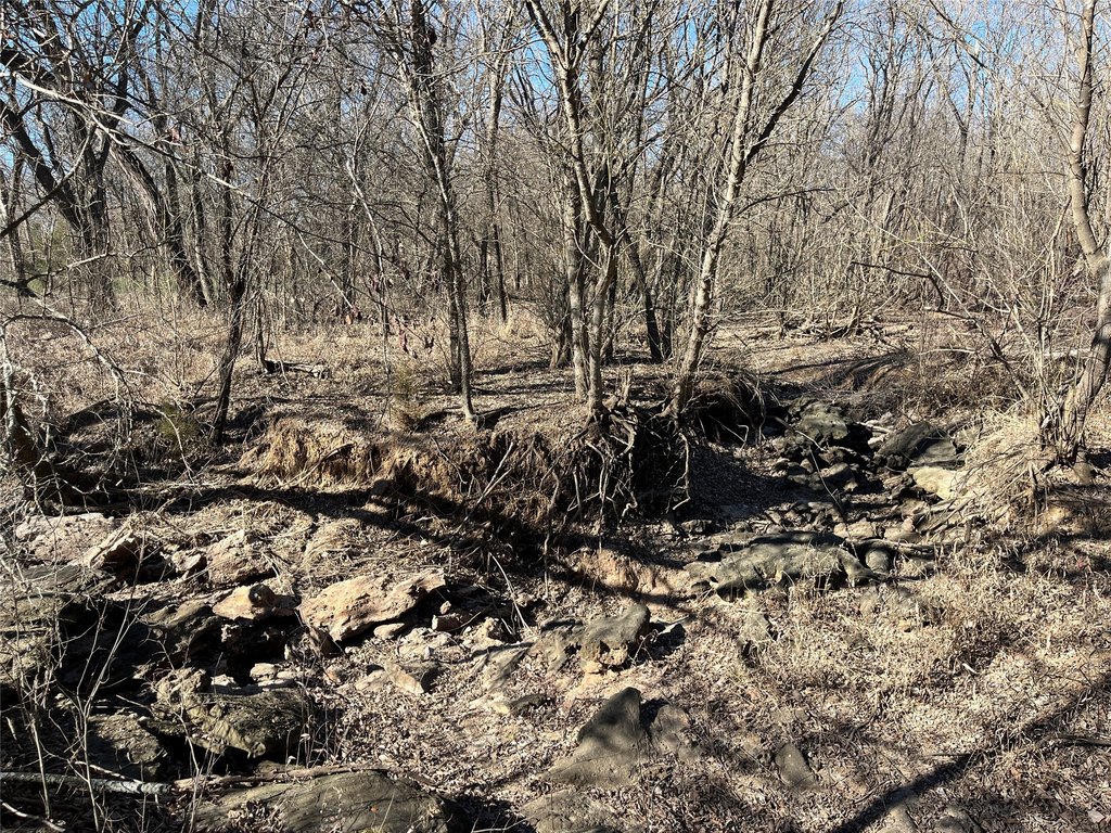 Picture 14