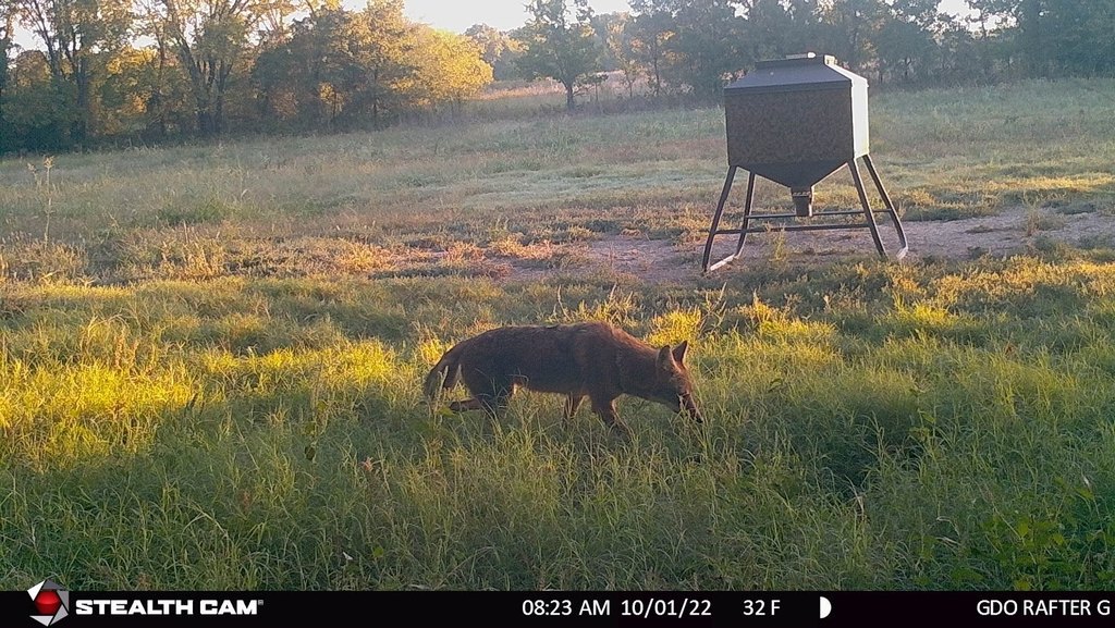 Picture 24