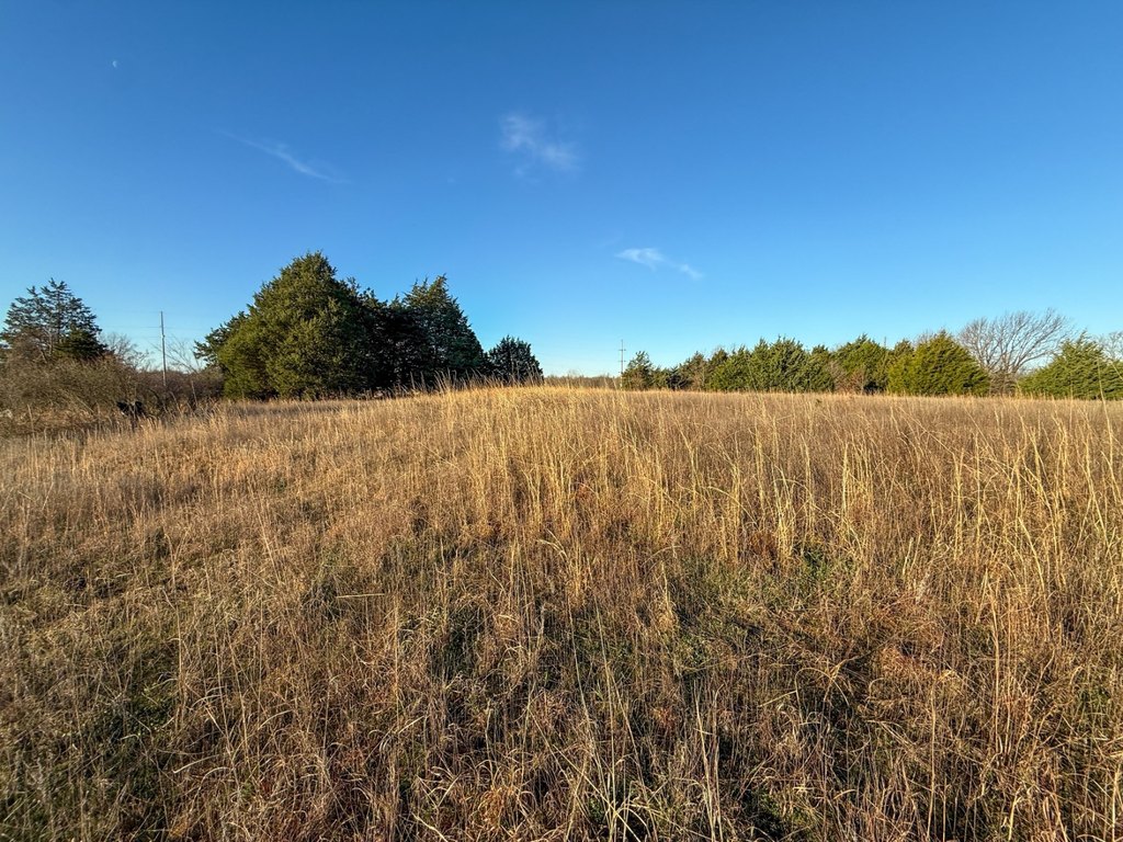 Picture 19