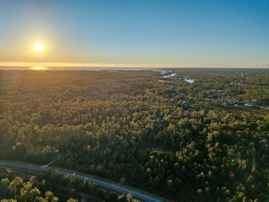 Picture 8