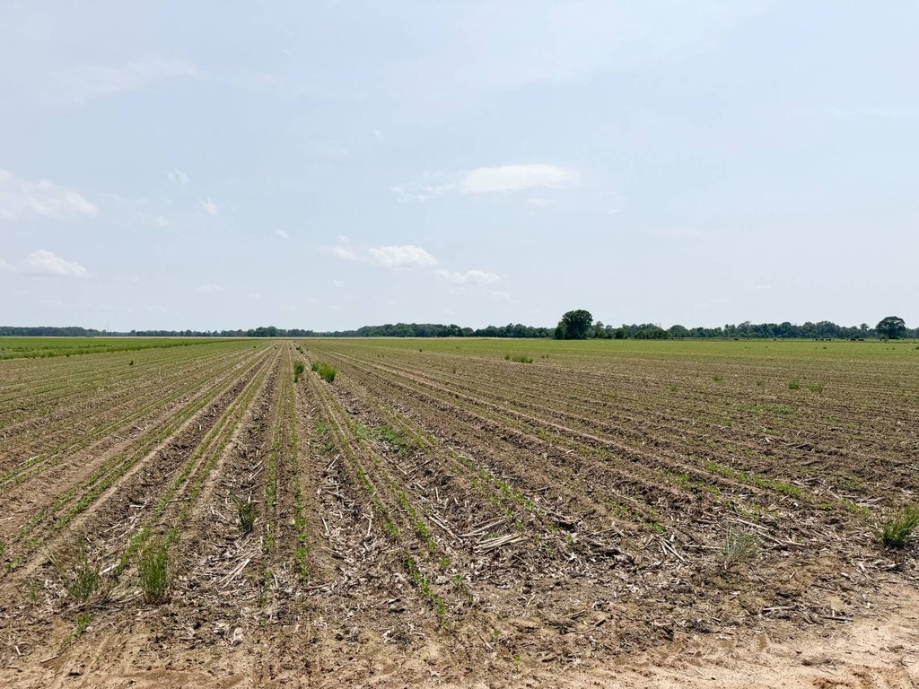 Picture 43