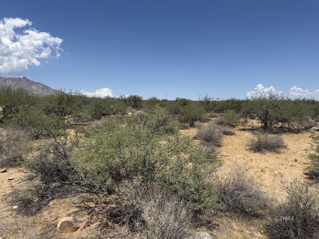 Picture 11