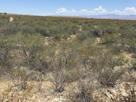 Vacant Land, Safford, AZ