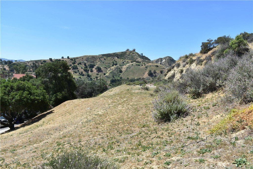 Newhall Land with Mountain Views