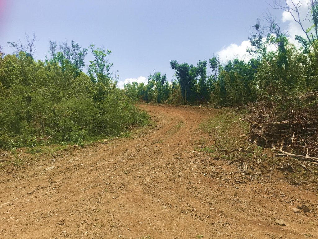 Picture 11