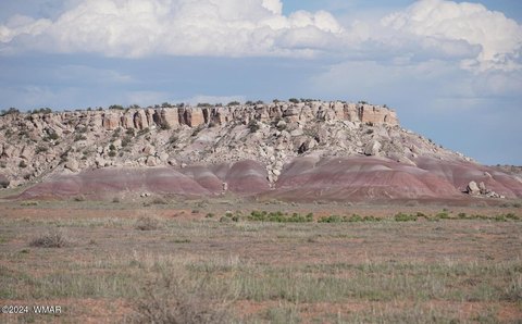 36 Acres in St. Johns