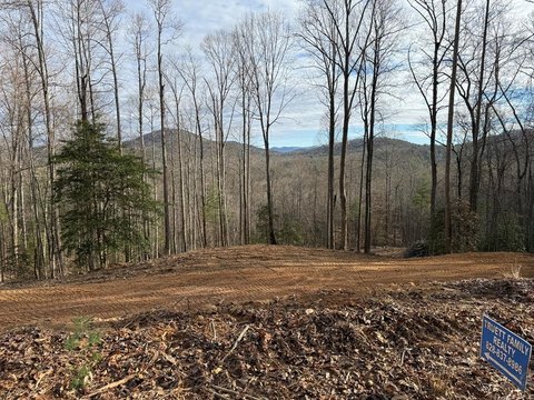 Blairsville Land with Mountain Views