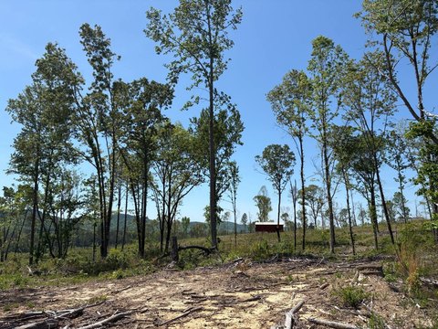 Land, Broomtown, AL