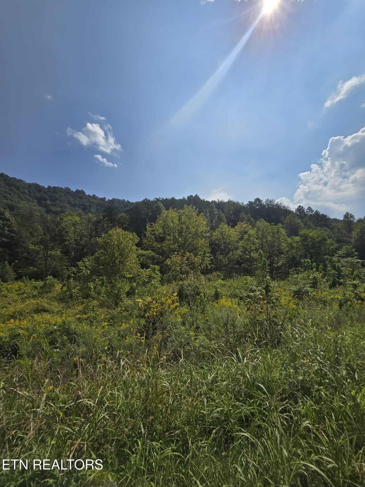 Expansive Farmland in Rogersville, TN
