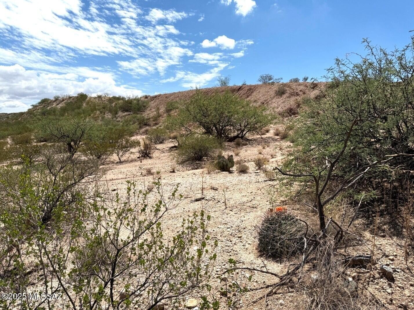 9.93 Acres in Benson, AZ