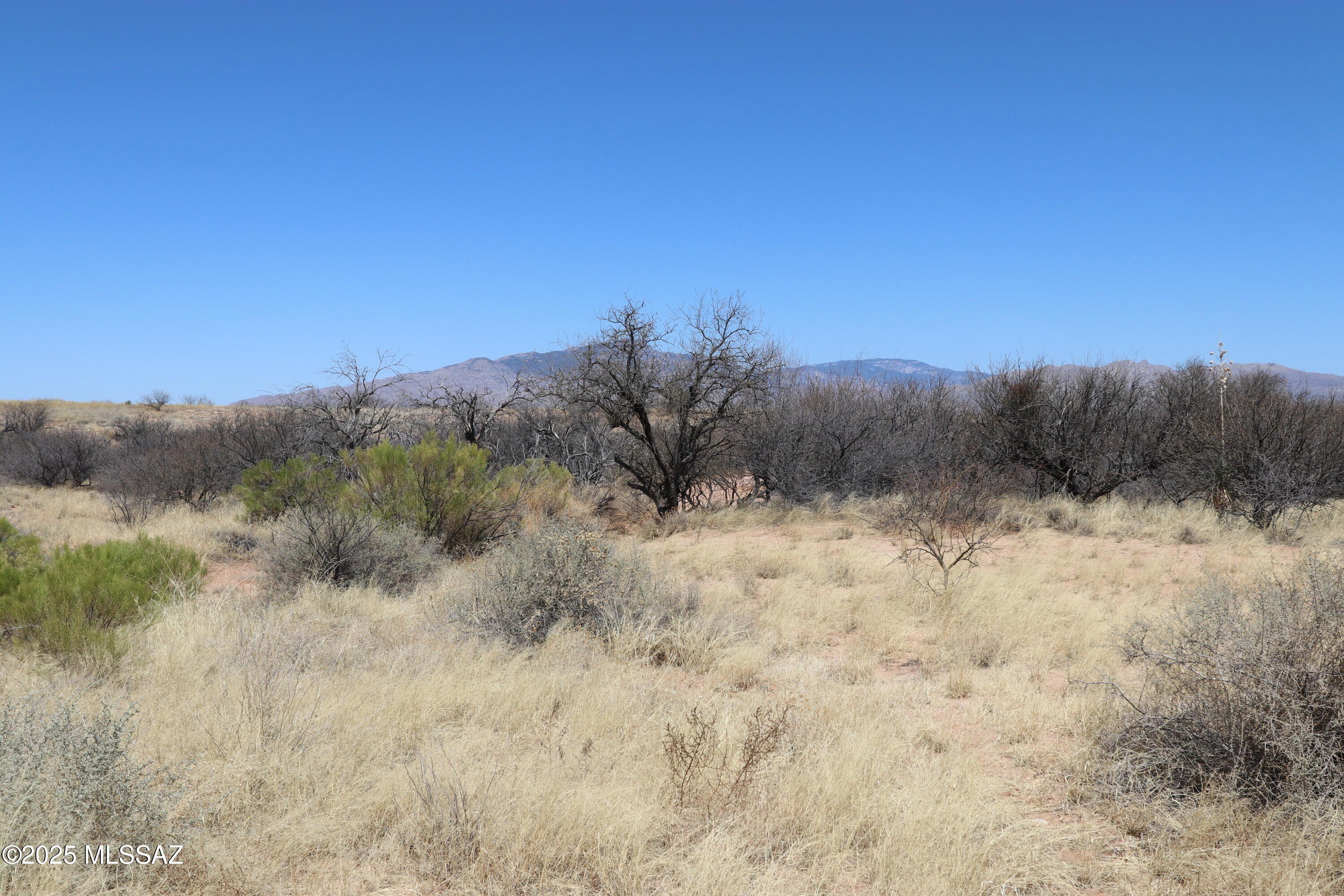 Vacant Land in Benson, AZ
