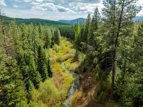 Yaak Land with Creek Frontage