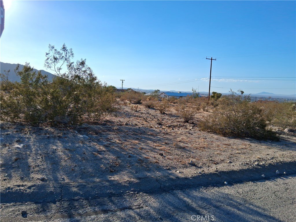 Picture 6