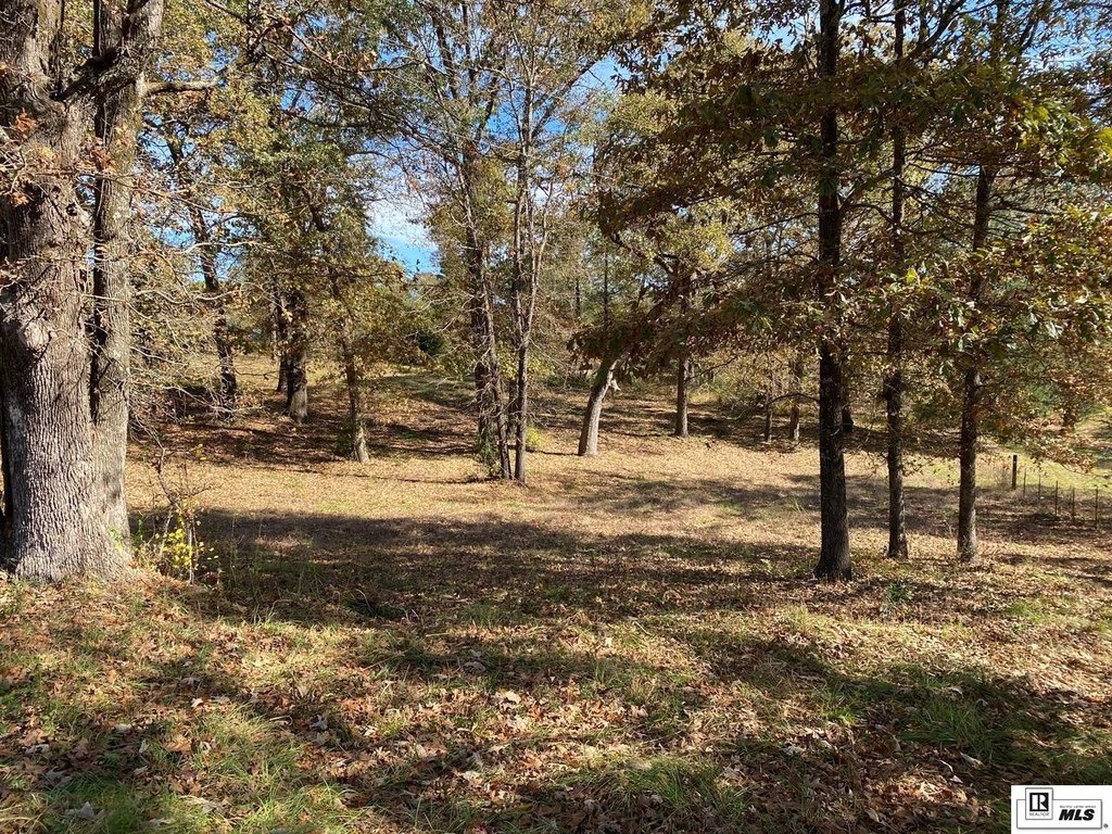 Picture 19