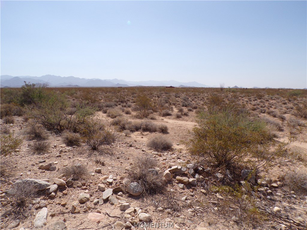Picture 11
