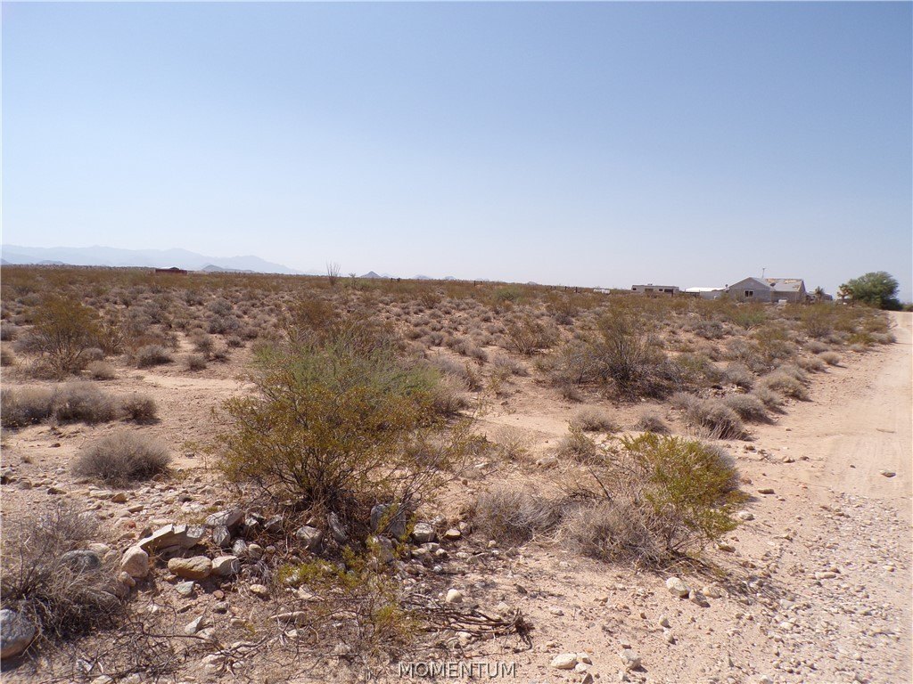 Picture 12