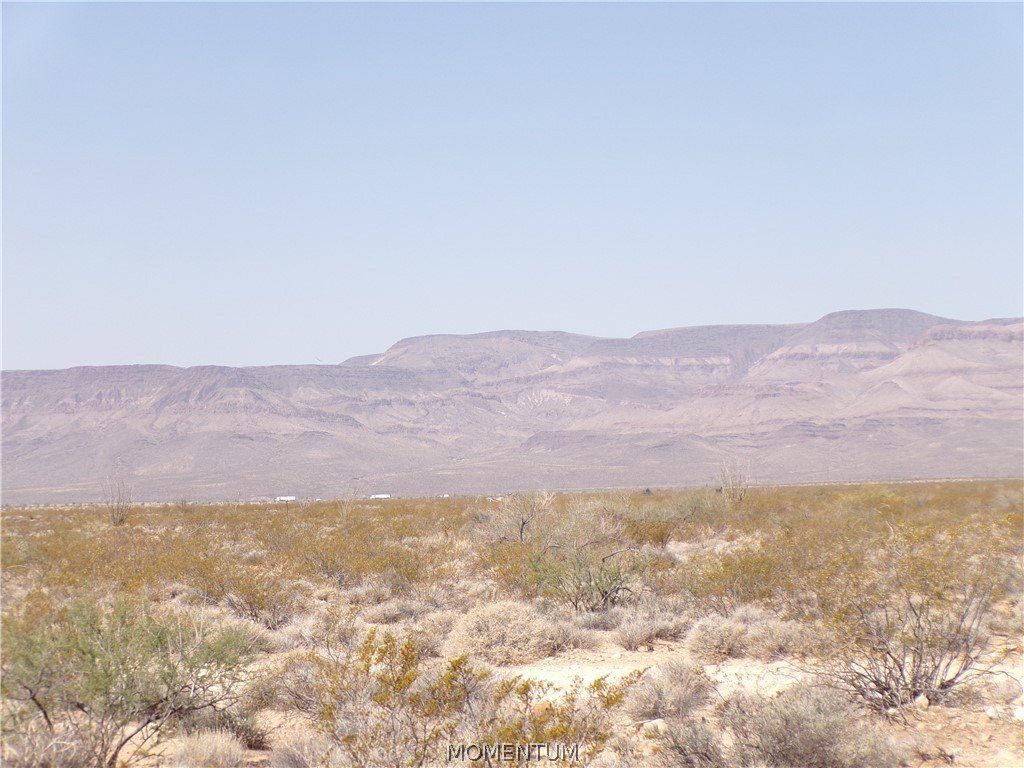 Picture 7