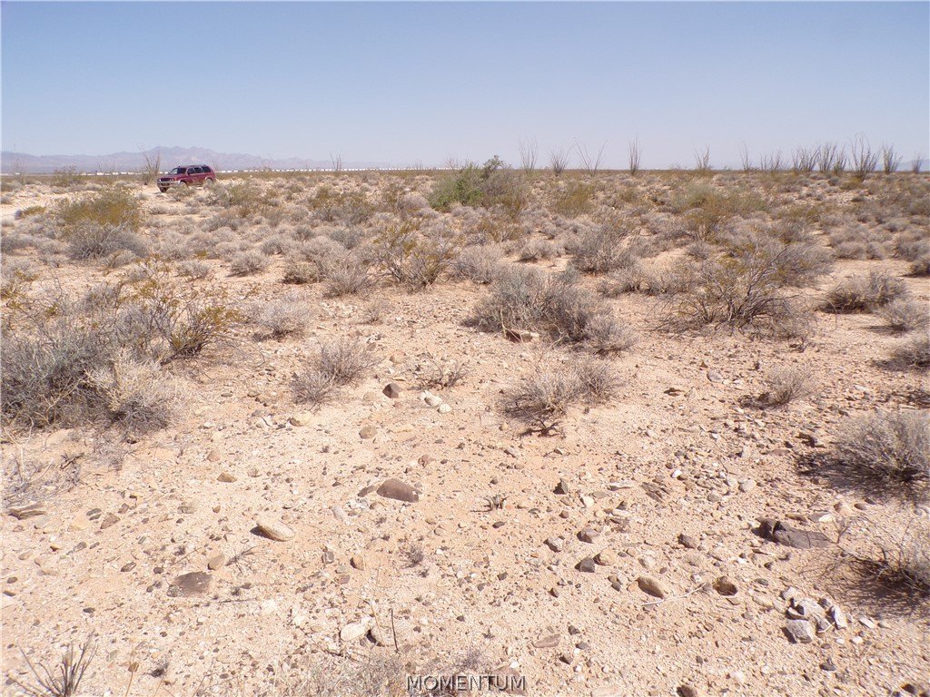 Picture 22